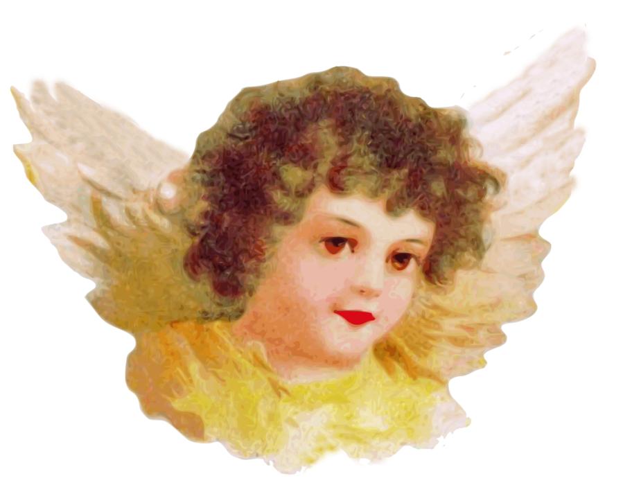 angel head with wings on a white background