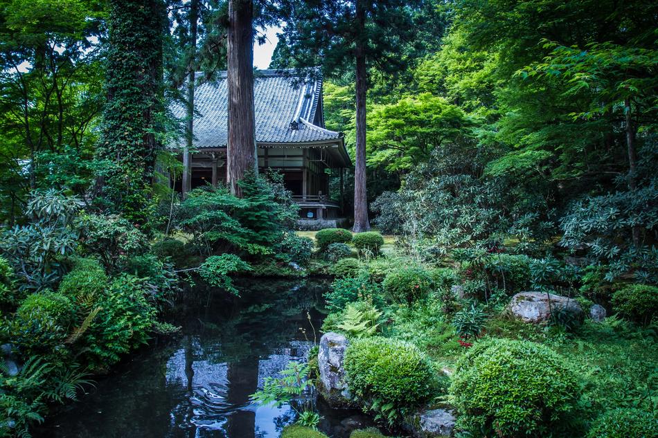 wonderful Natural Garden