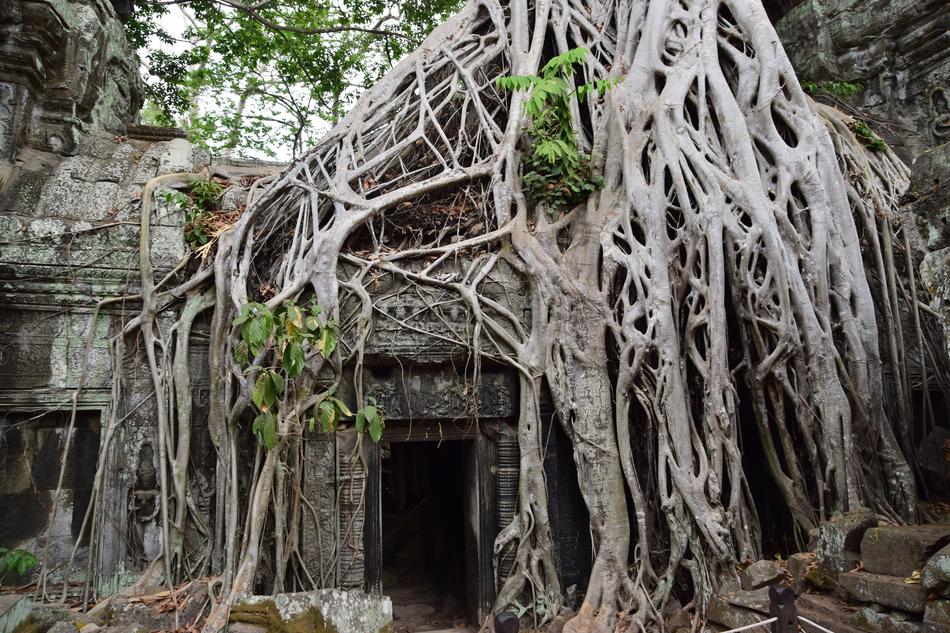 Lara Croft Temples