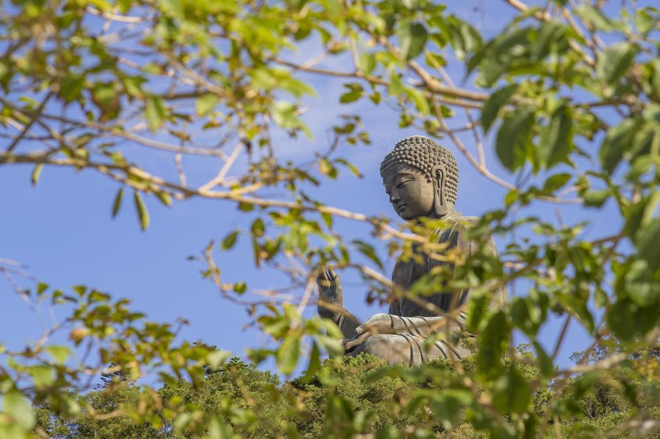 View on the Green Buddha statue through the green tree branches in China