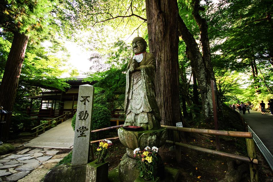 Mysterious Buddha Statue