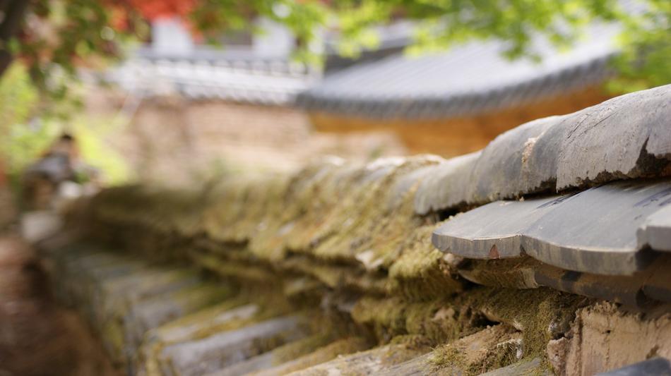 details of the temple complex in korea close up