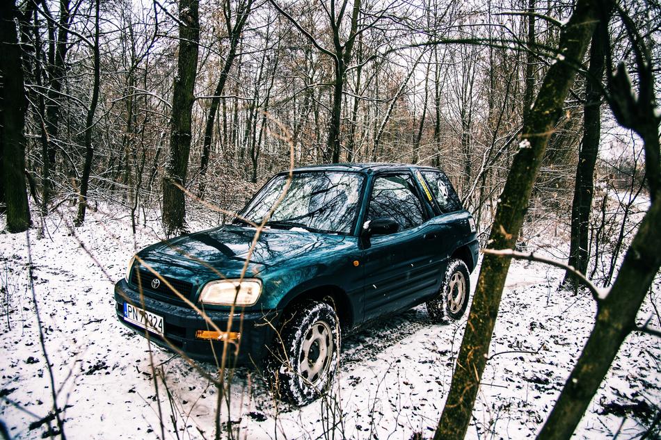 Toyota cat in the winter forest