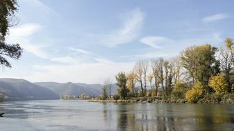 Danube River and trees