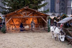 Christmas Donkey
