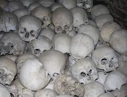 Skulls And Crossbones close-up