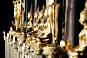 Buddha Gold statues, thailand, Bangkok