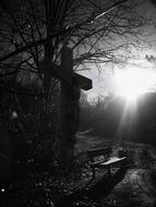 Cross Jesus Wood sun dark
