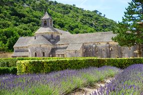 Abbaye De SÃ©nanque Monastery green forest