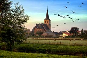 Birds flying over the church