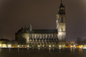 struggling hands Magdeburger Dom Church