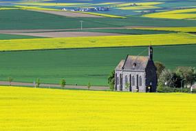 Oilseed Rape and small church