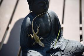 Lizard Reptile and ststue