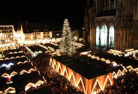 Christmas Market Cathedral