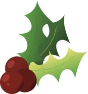 painted burgundy berries and green leaves of christmas holly