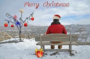christmas card man tree