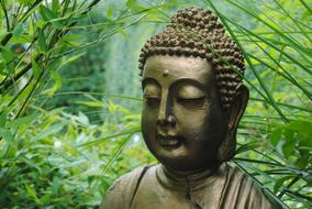 Buddha Asia Statue green plant
