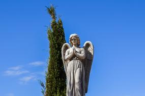 sculpture of an angel near the cypress