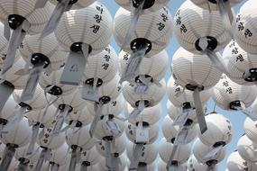 Seoul street paper lantern