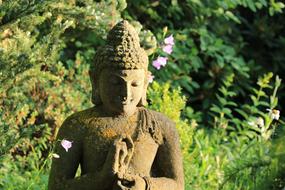 Buddha Garden Nature statue