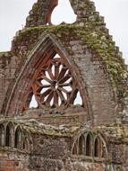 Church Ruins Gothic window