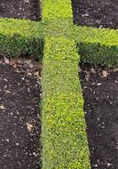 Cross green grass