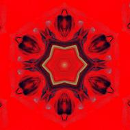 mandala on a red background