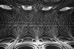 vaults in Norwich Cathedral in black and white background