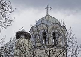Stork Nest On Church