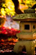 Japanese Lantern Colorful garden