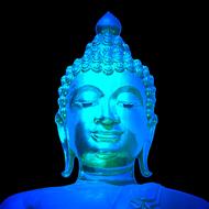 buddha zen meditation neon