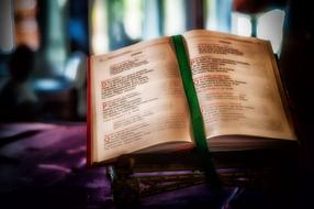 Bible Church Faith book