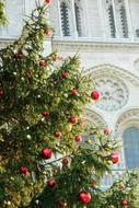 Christmas tree in Paris, France