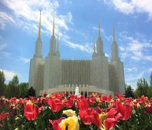 Mormon Temple red flowers