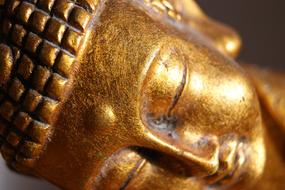 macro photo of a golden buddha head