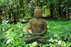 buddha statue among greenery