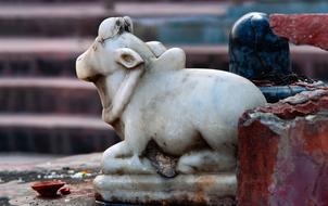 Murti India statue cow