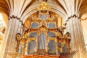 golden Organ in Church Cathedral