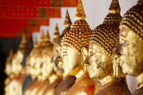 Bangkok Buddha Gold faces