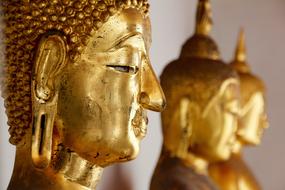 Buddha Gold head