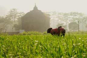 Farmer and Temple