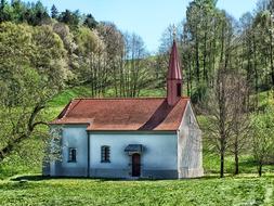 forest on a hill next to the church