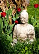 Buddha statue green garden