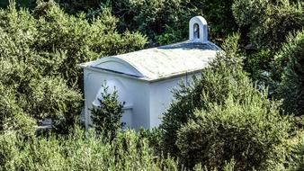 white chapel among olive trees