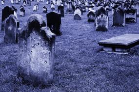 Cemetery Culture dark