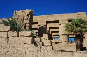 Karnak Temple Columnar and green bush