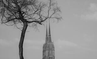 Tree Winter Architecture black and white