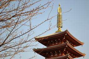 traditional temple in Asakusa, Japan