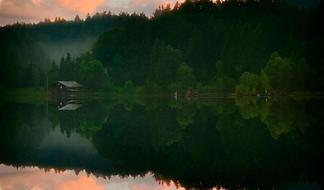 Church Lake green forest