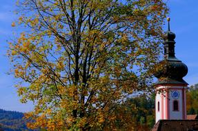Church Tower Building and tree